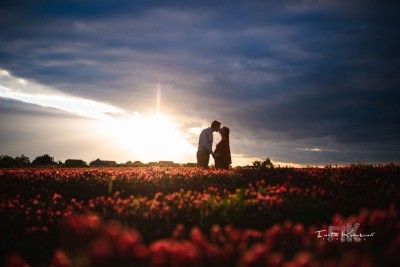 _PRP8235_edit