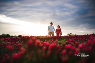 _PRP8263_edit