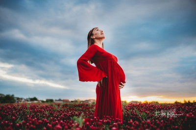_PRP8499_edit