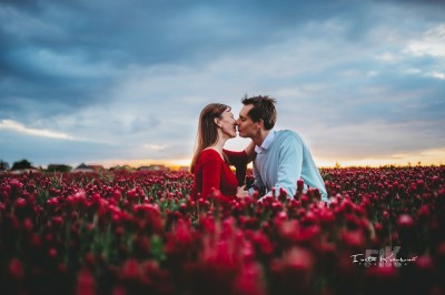 _PRP8532_edit
