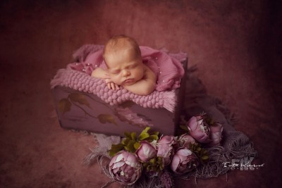 _PRP0907_edit