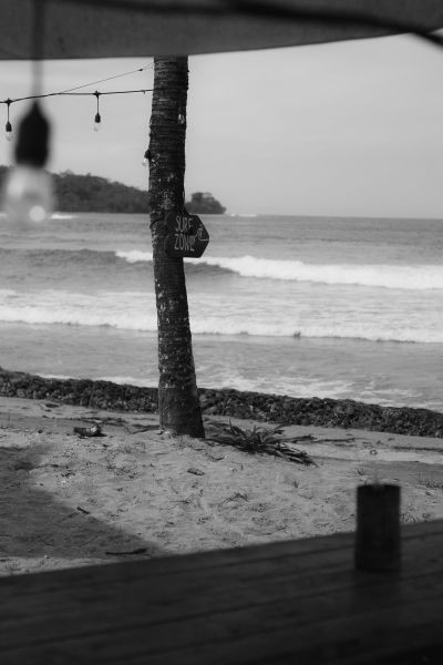 _MG_2008