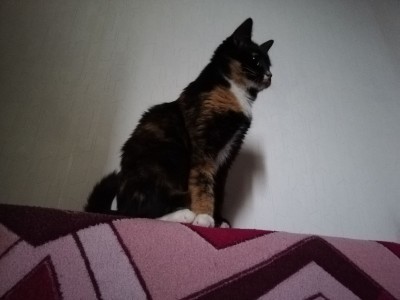 2019-03-05 12-02-25