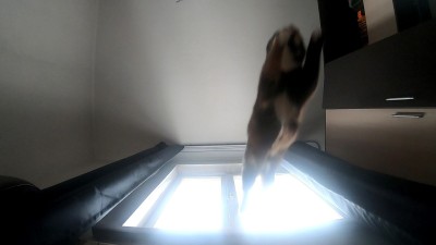 2019-03-05 12-37-43