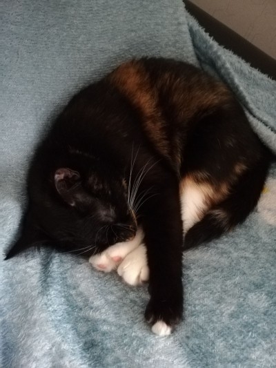 2019-03-29 16-46-42