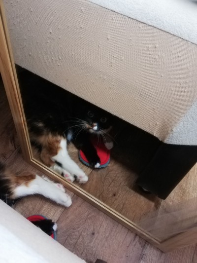 2019-04-01 11-59-45