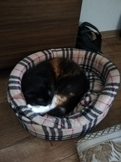 2019-04-01 13-46-51
