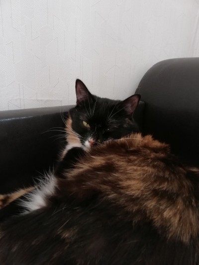 2019-04-11 16-24-14