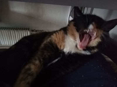 2019-04-14 13-46-35