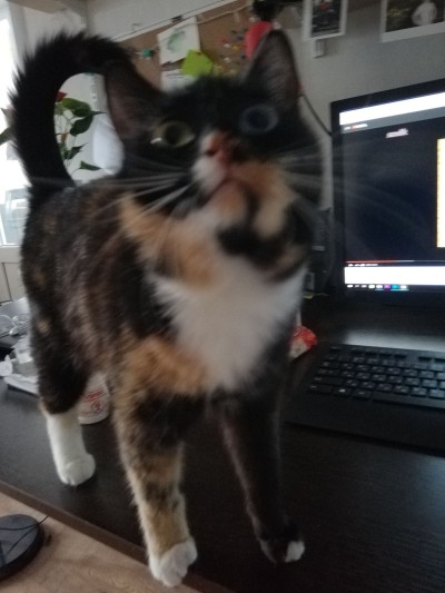 2019-04-18 17-53-32