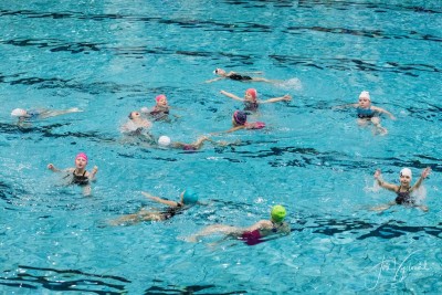 019_202312_SynchroPlav Vanocni